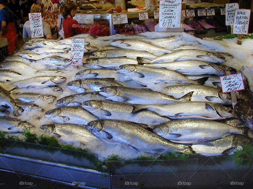  Fish Market