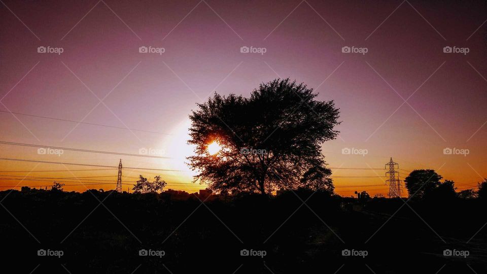a beautiful sunset with tree look like awesome I hope you like it