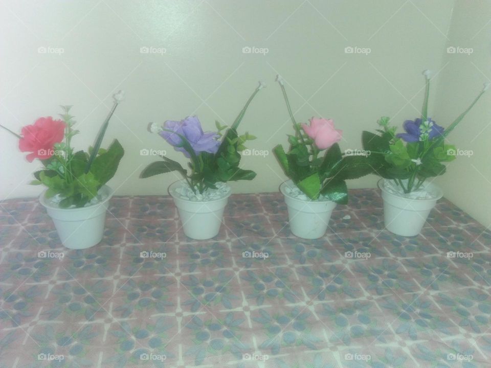 Flowers in vases