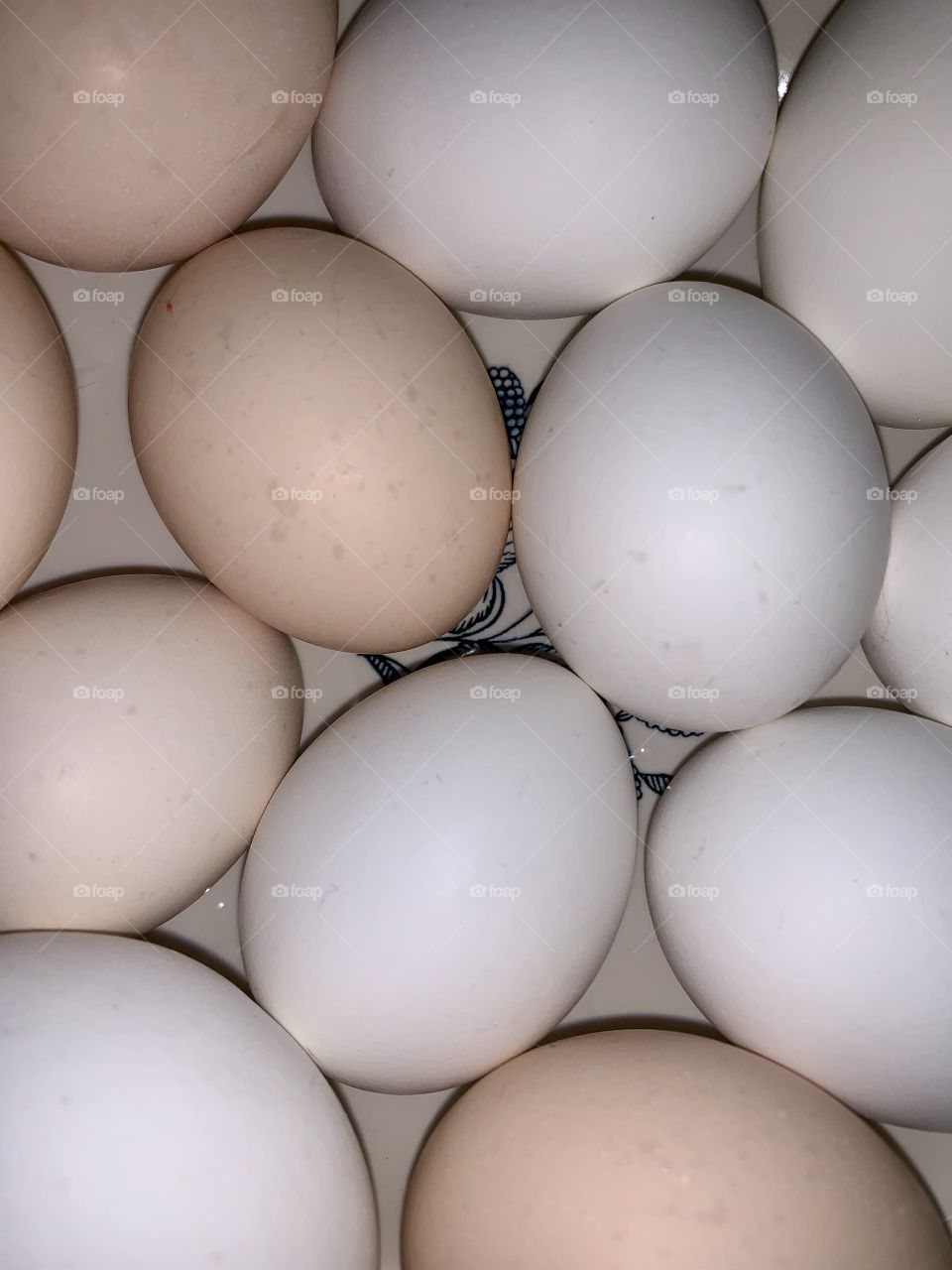 farm eggs
