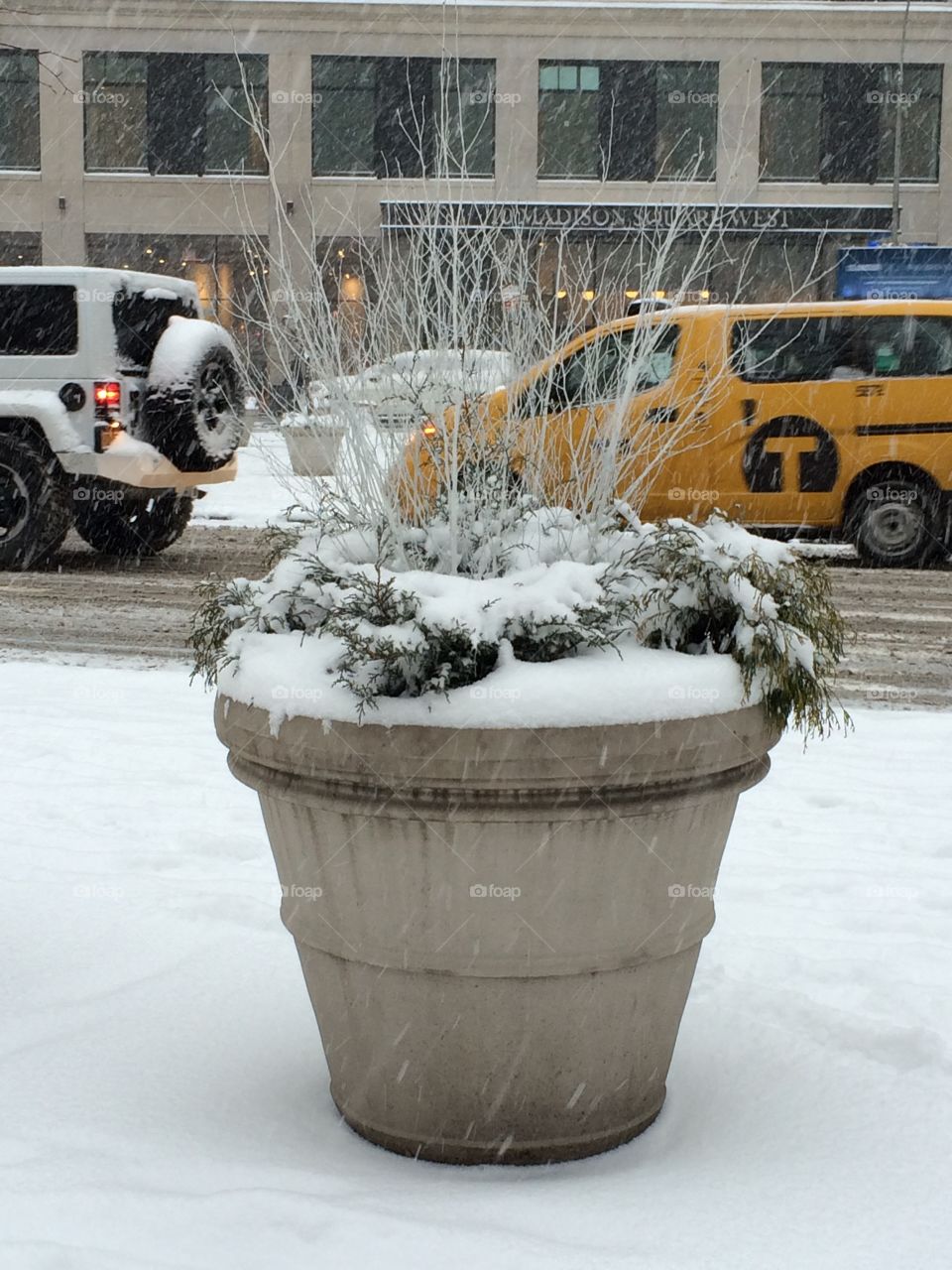 Snow in New York 