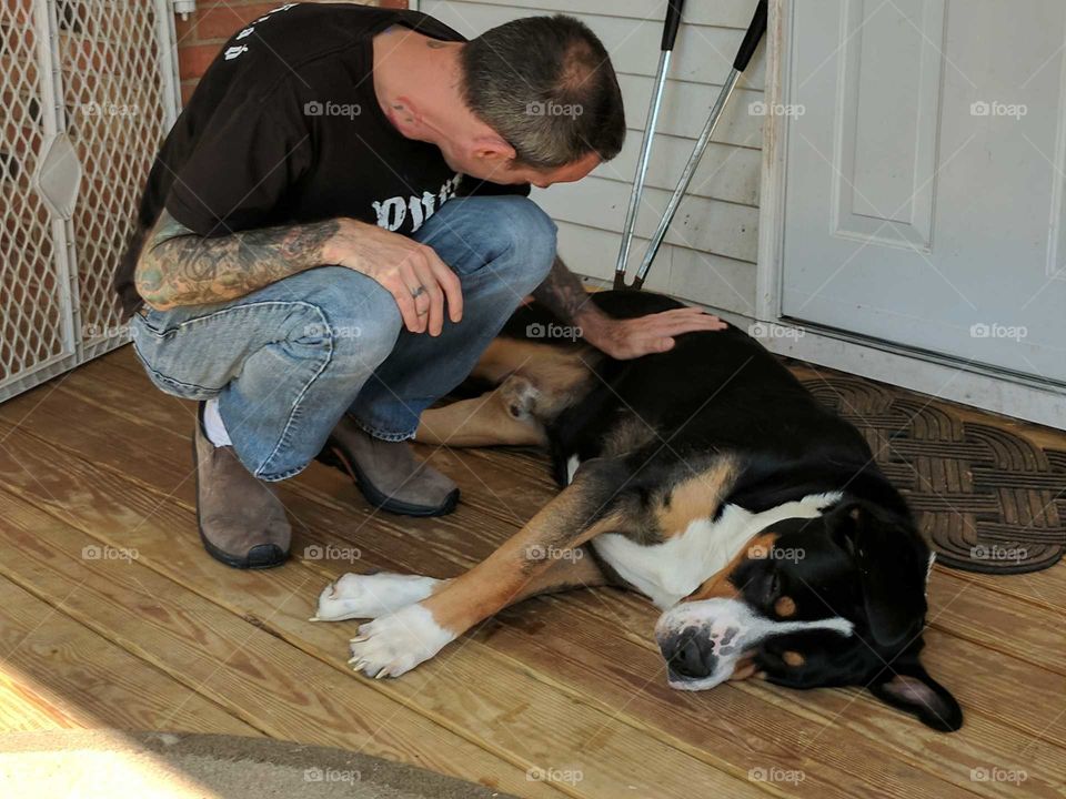 petting large dog