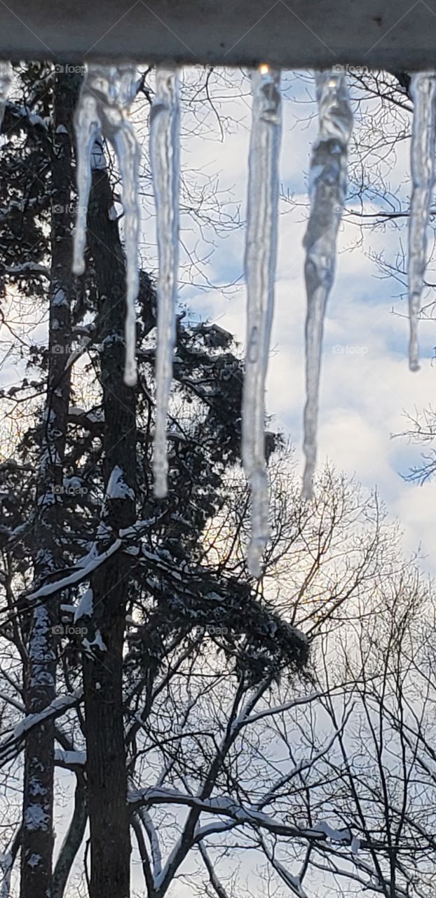 Snow day icicles