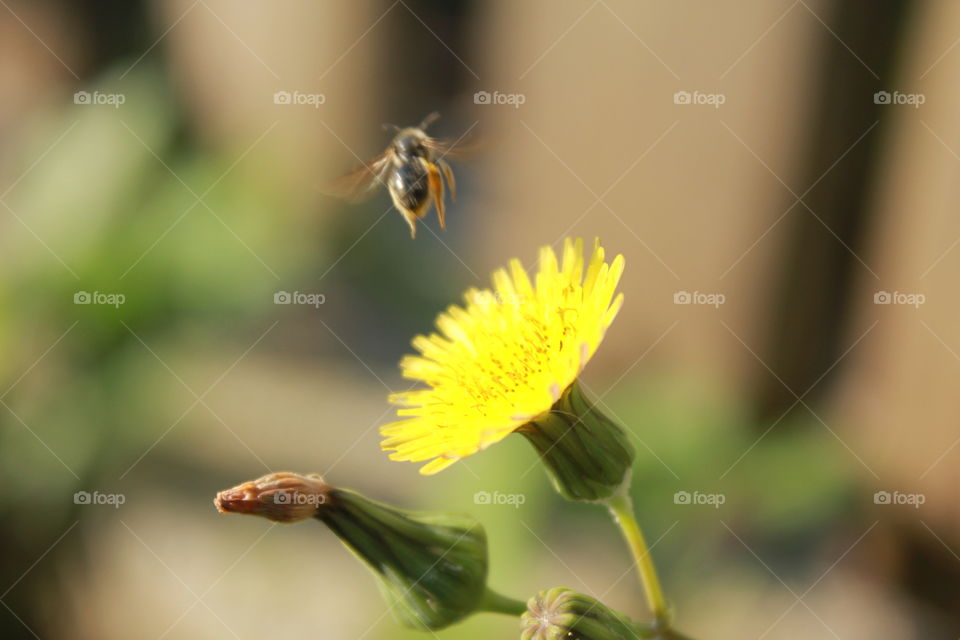 It's summer!  Time for work!?