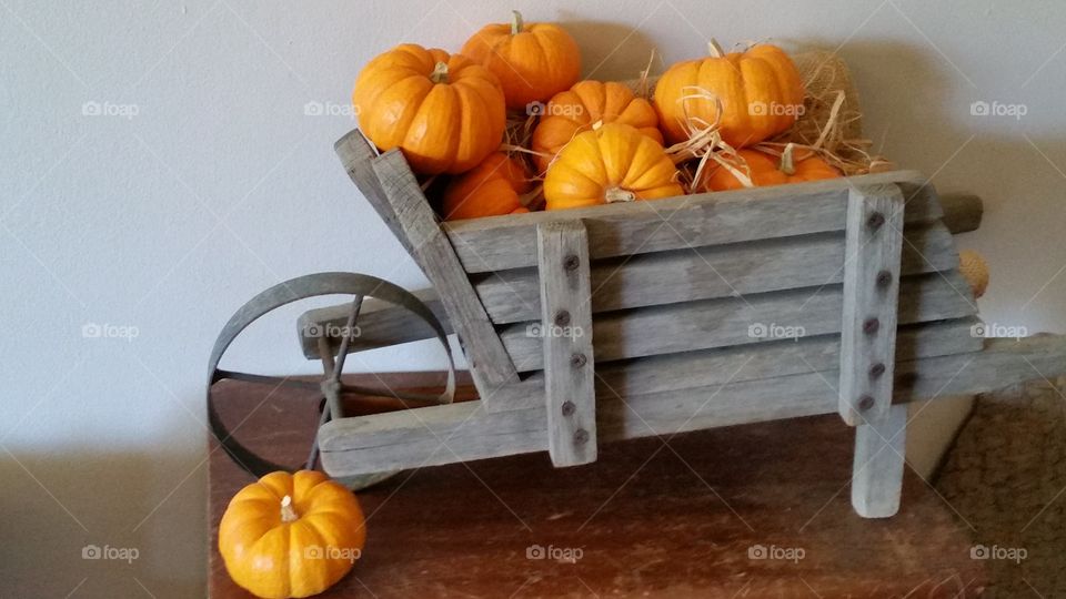 DIY crafts for the fall season