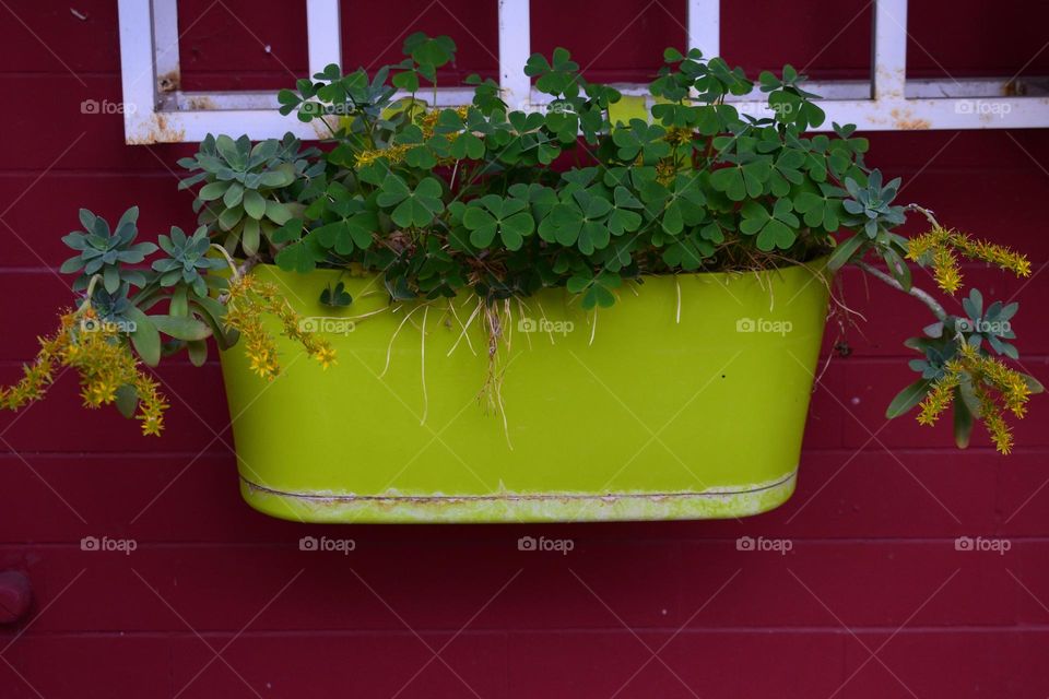 Planter