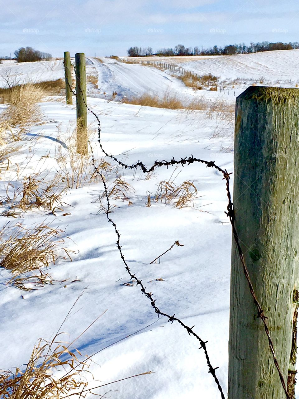Wooden fence on snowy landscape