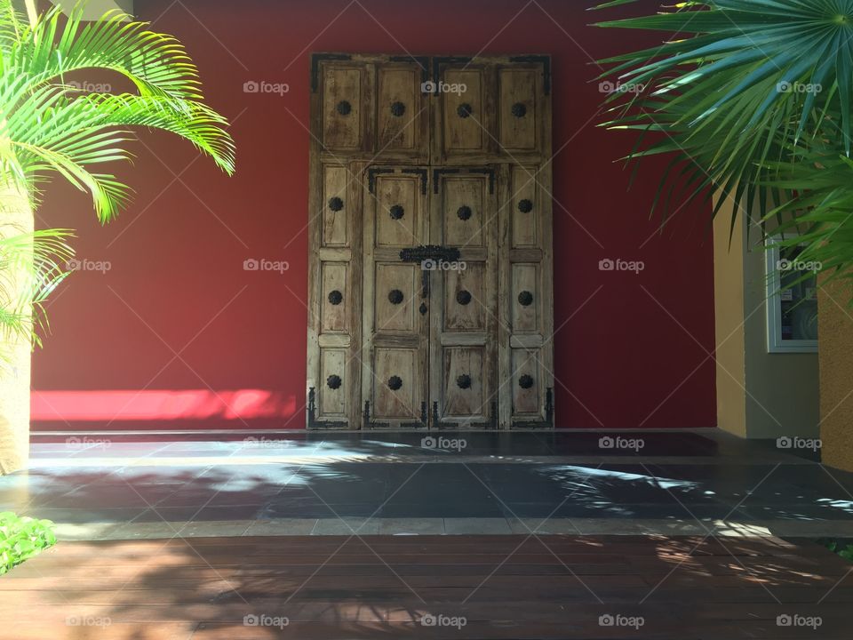 The mysterious door
