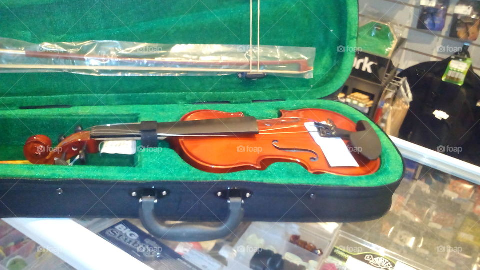 Violin