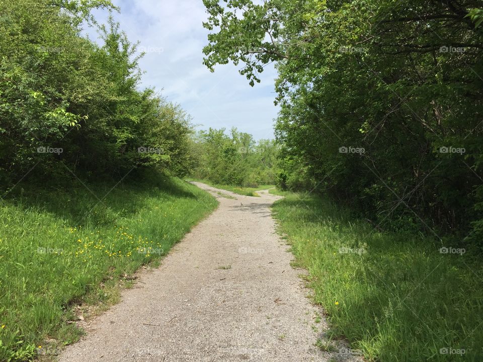 Gravel path splits between Erie Canal and Meridian Park