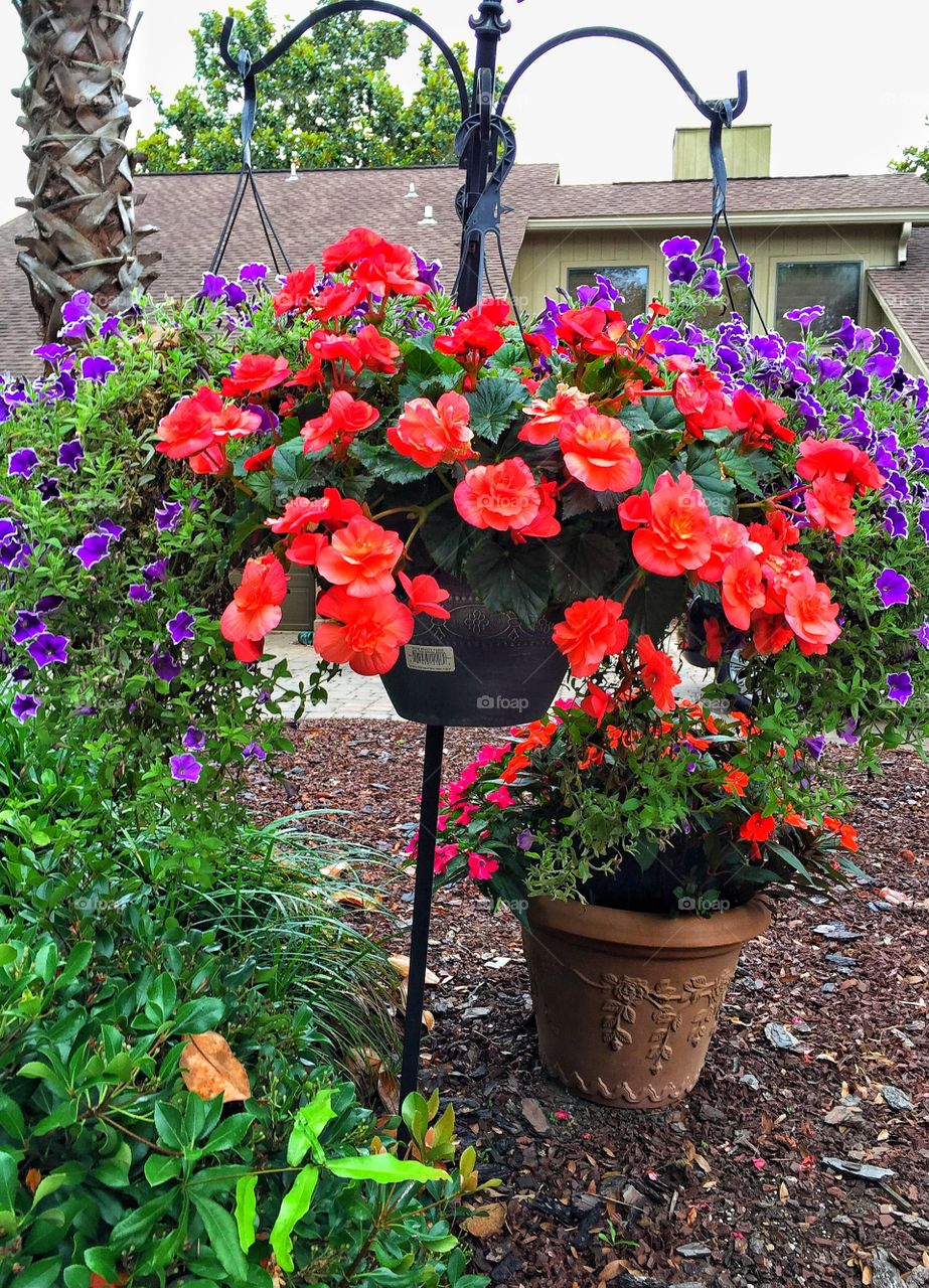 Hanging basket