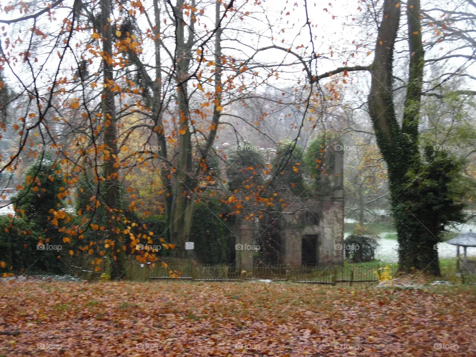 Parc de Mariemont , la Louvière