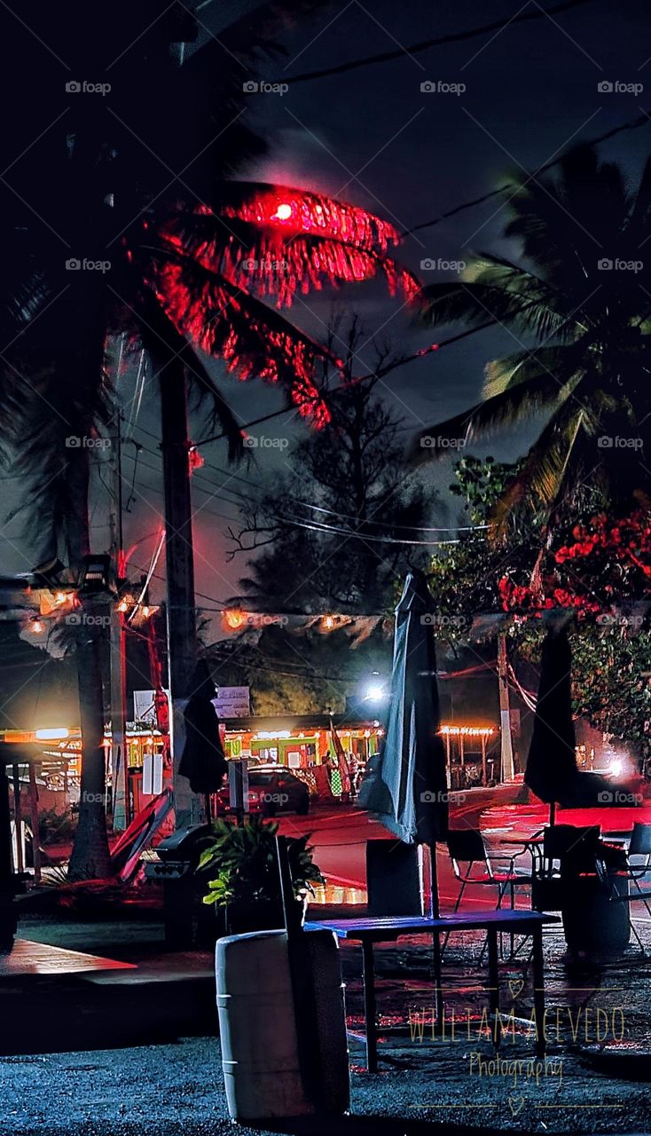 Night environment in Piñones, Puerto Rico