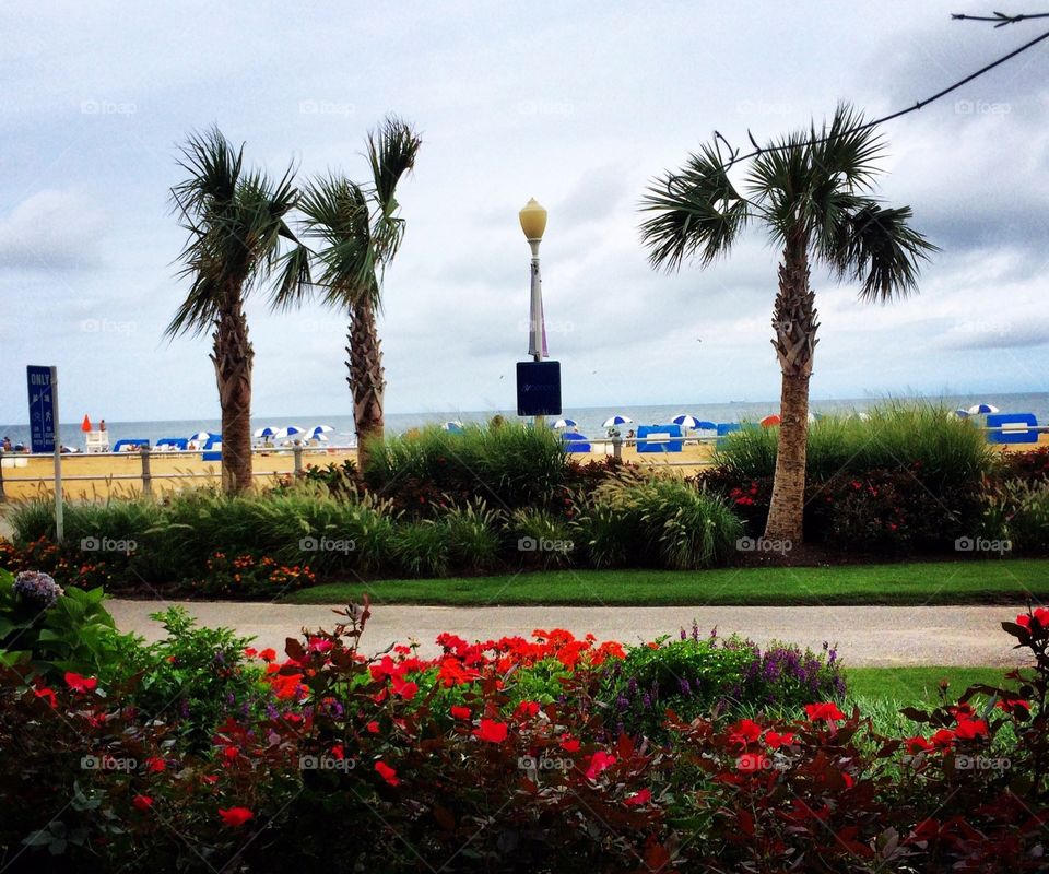 VA beach . Virginia beach Boardwalk 