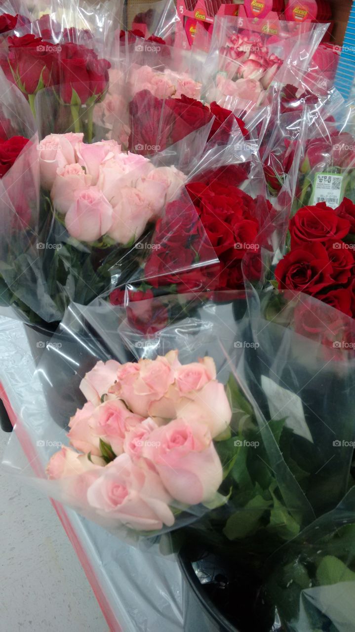 roses for Valentines