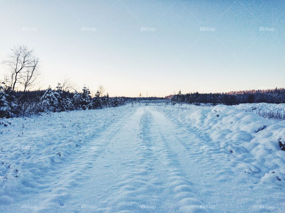 Winter, Snow, Cold, Frost, Frozen