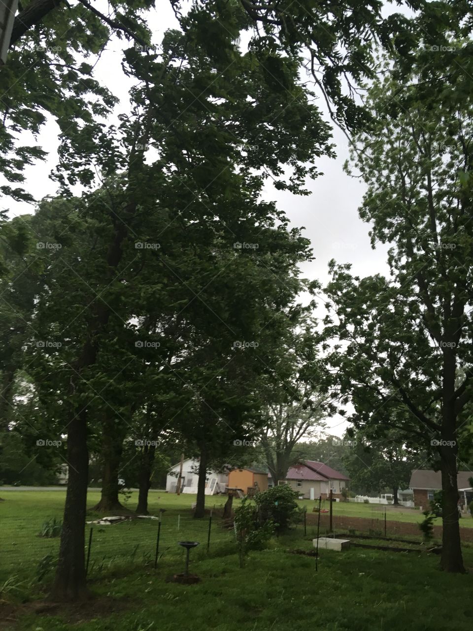 It’s here!! High winds and rain are blowing the trees around. Maybe a tornado close by.