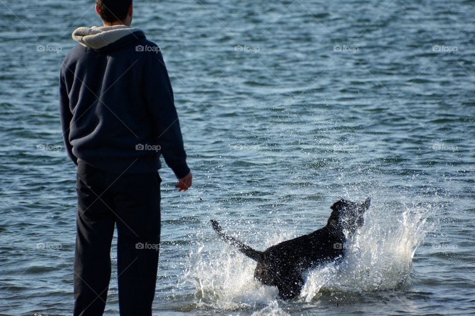 Dog splashing in the ocean