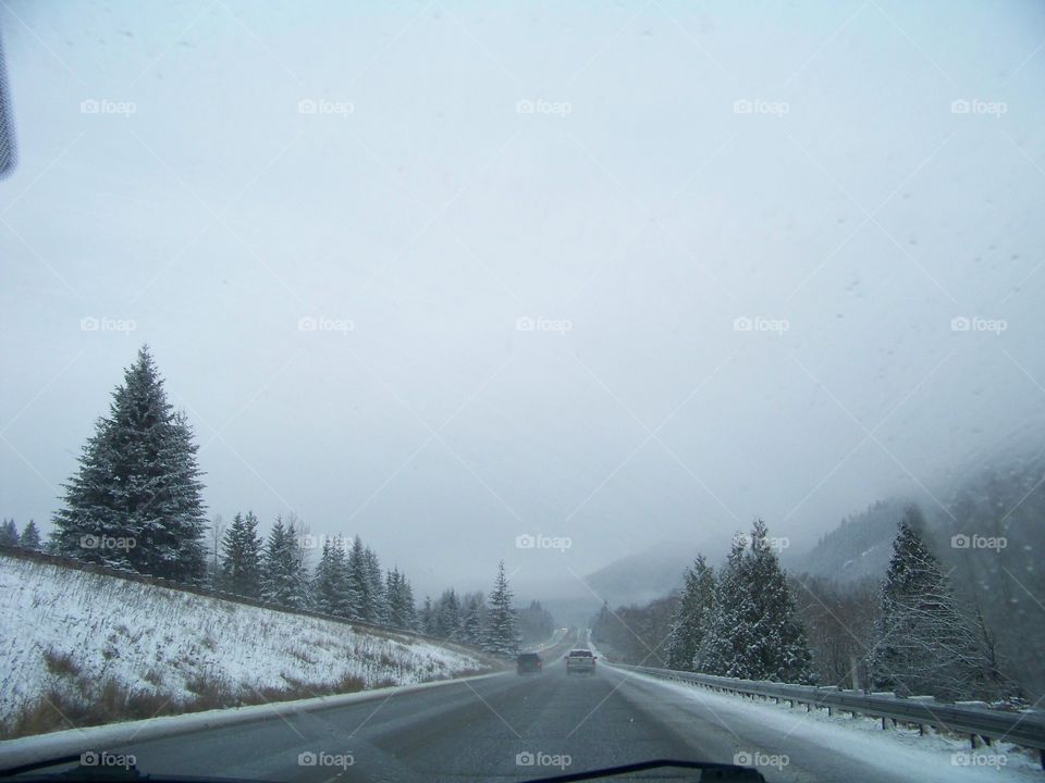 on the way to grandmas house