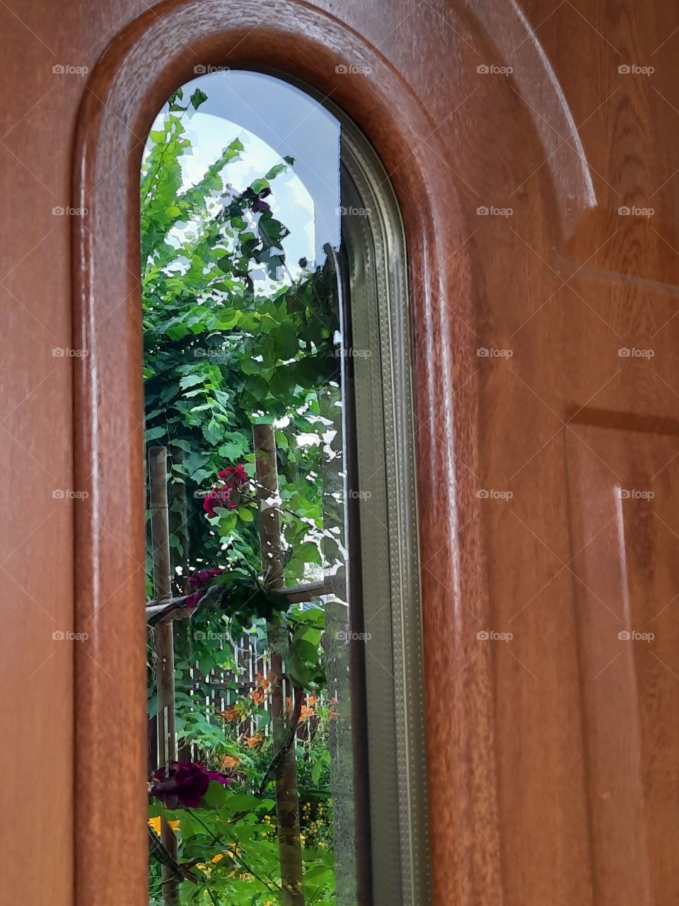 door window with garden vue