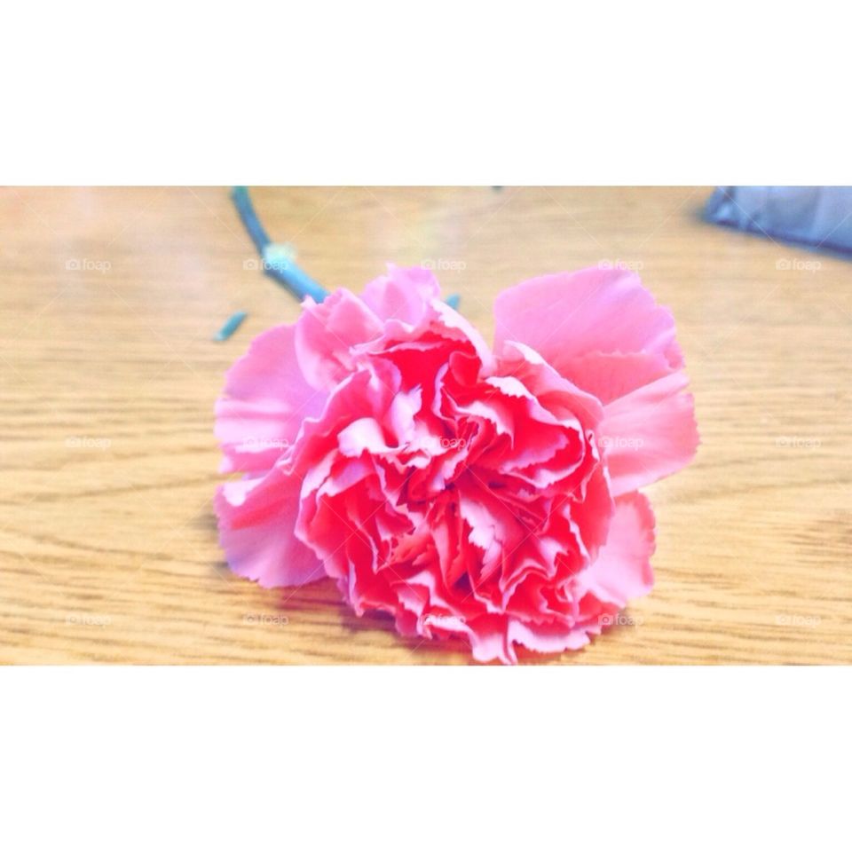Valentines Day Flower