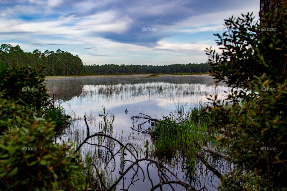 Prairie Pond