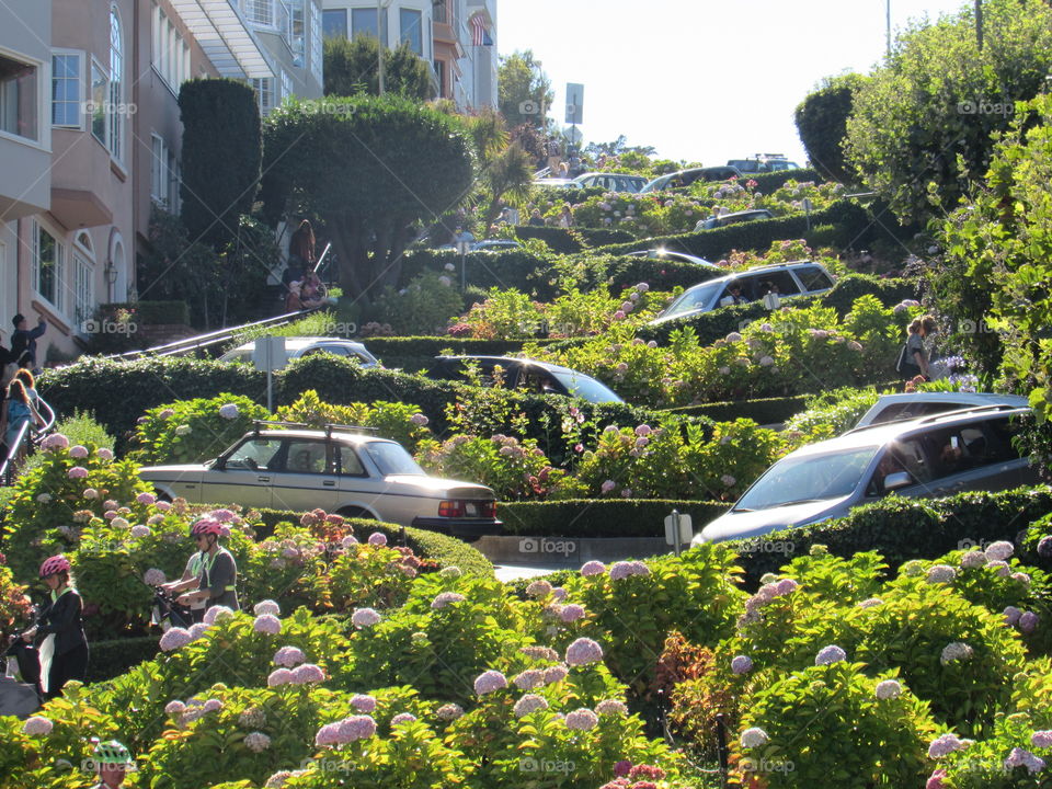 Famous Lombard street in San Fransisco