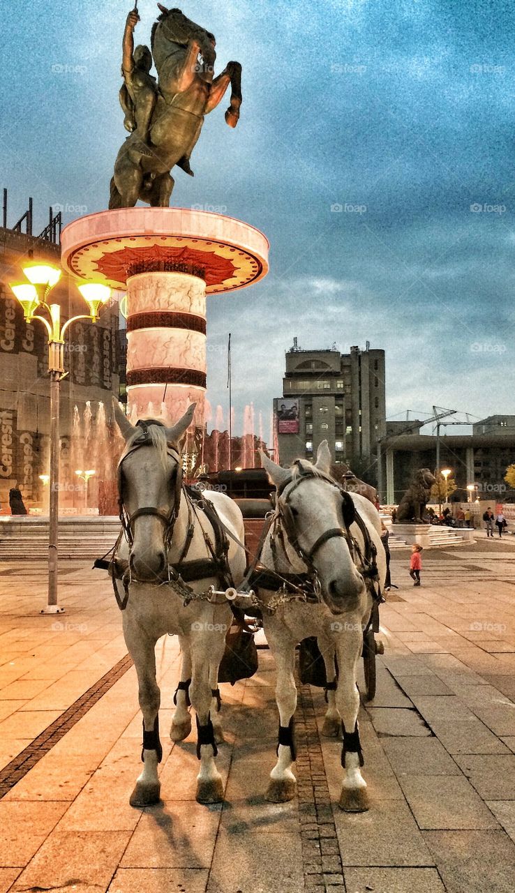 who wants to go for a ride