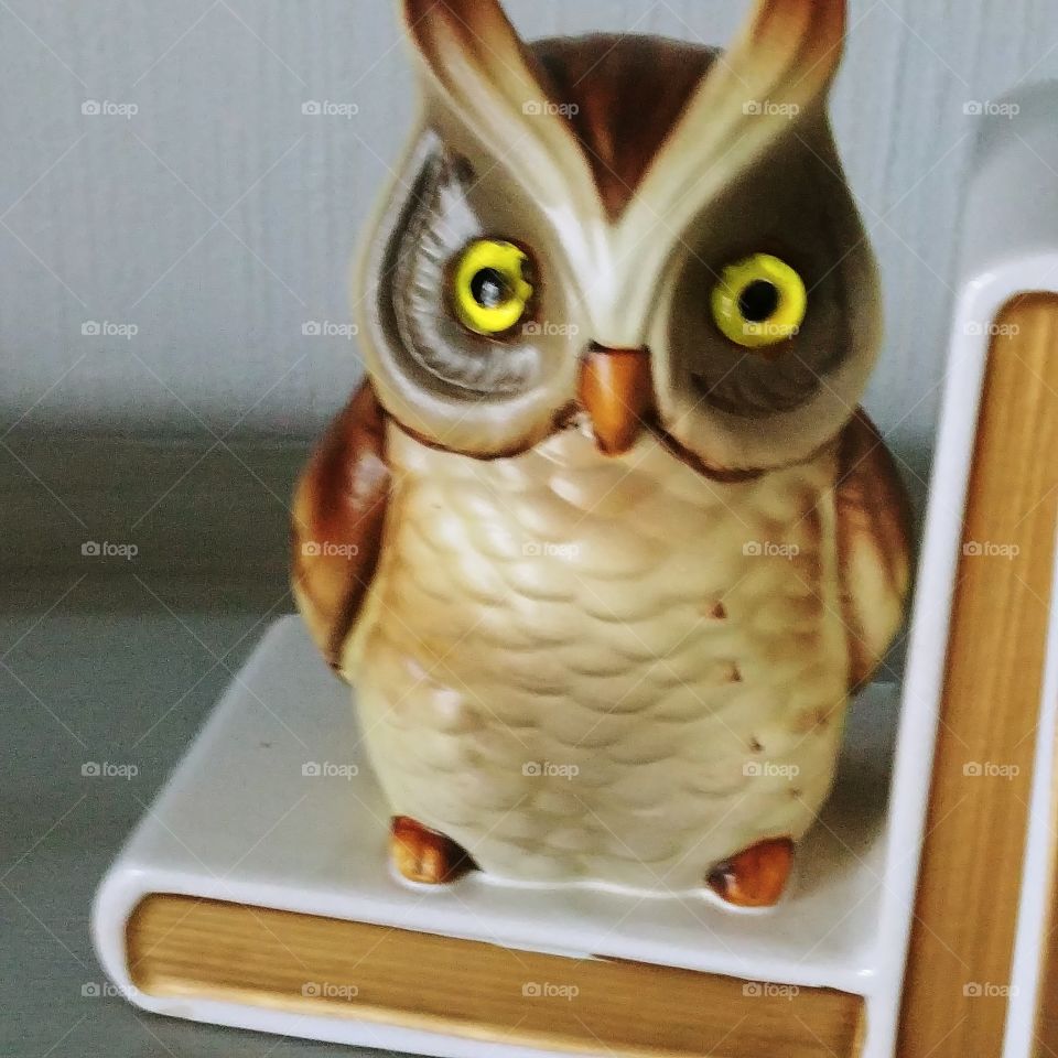 No Person, One, Wood, Owl, Animal