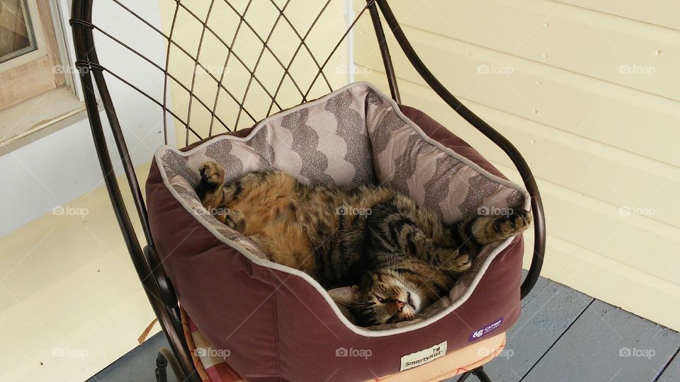 Comfort Over Appearance