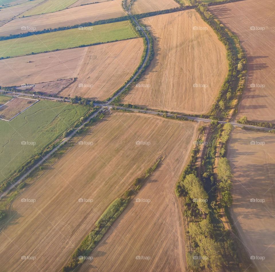 Plane view of summer countryside