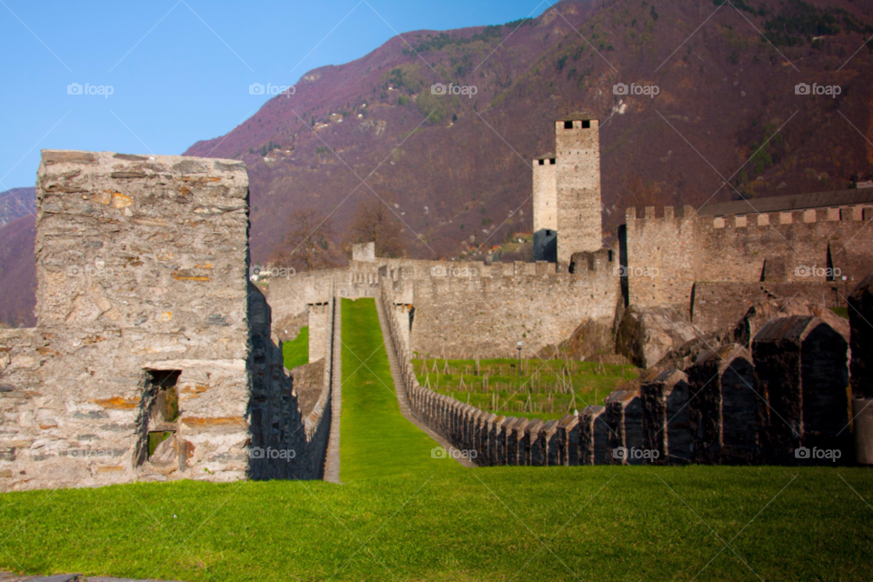 bellinzona switzerland landscape travel mountain by cmosphotos