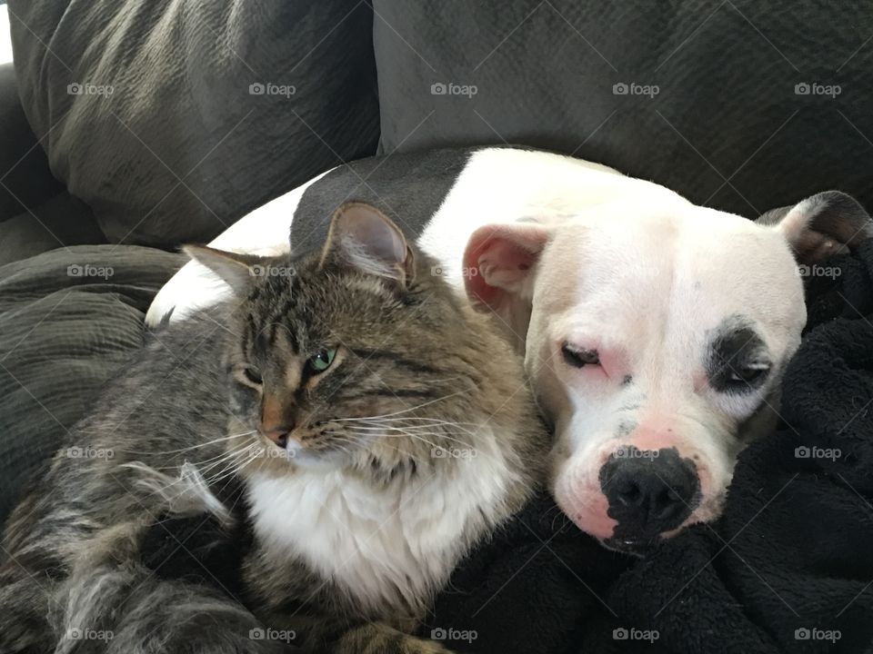 Taking care of his sister while she naps