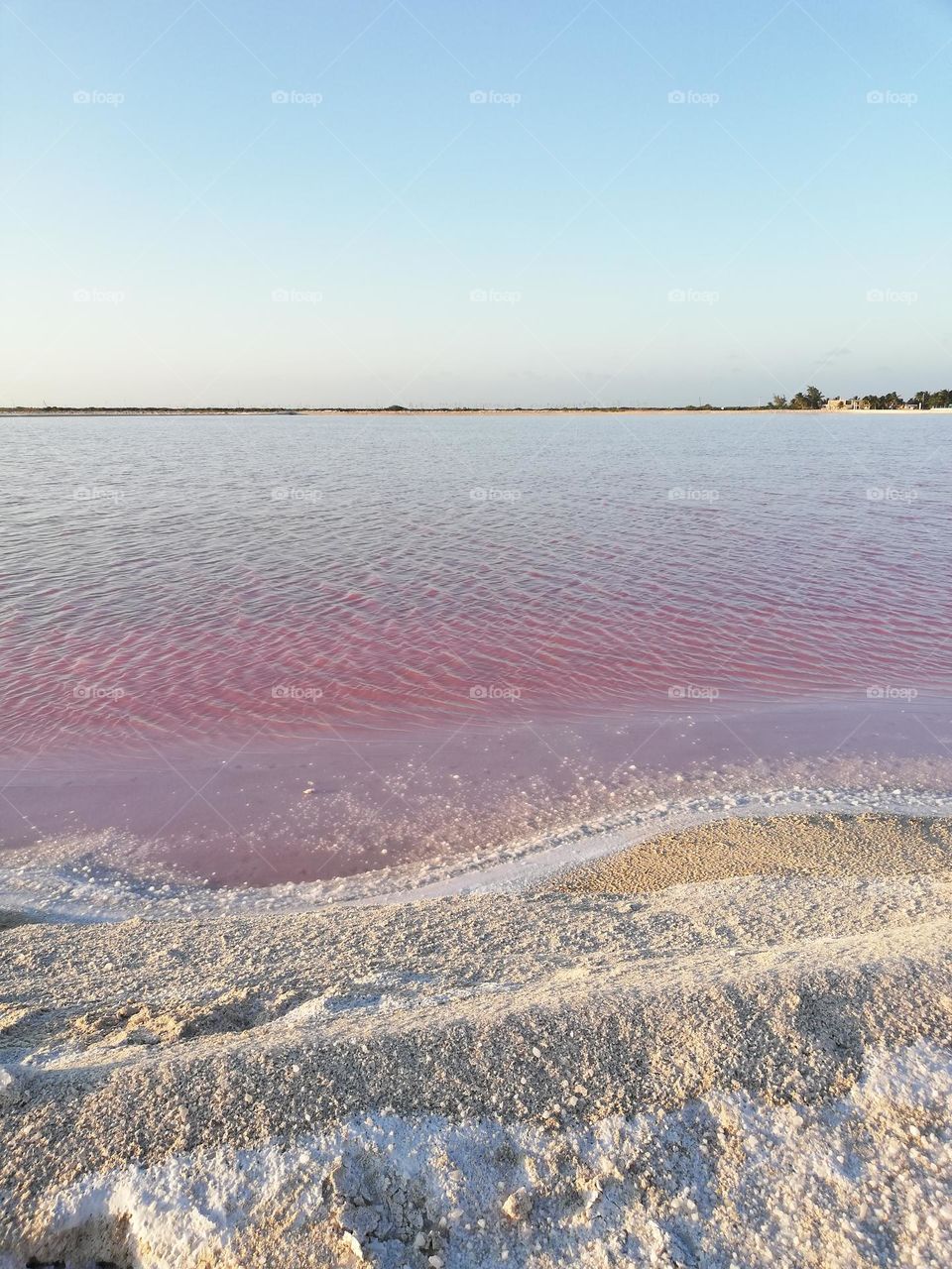 natural pink water agaist white sand and salt