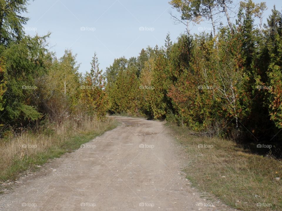 Drummond Island, Michigan 