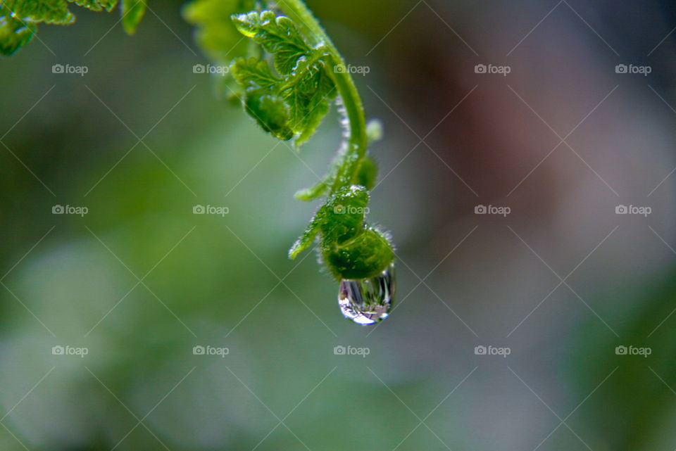 Water droplets