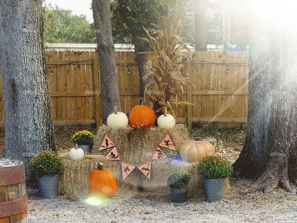 Halloween Outdoor Set