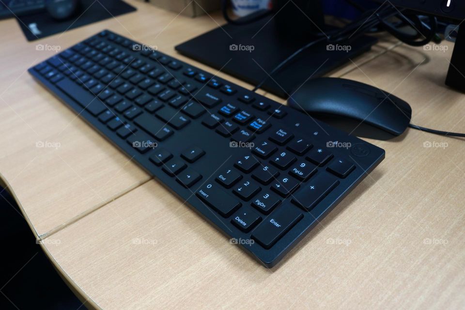 Keyboard and mouse are hardware parts of a computer that function as data input devices