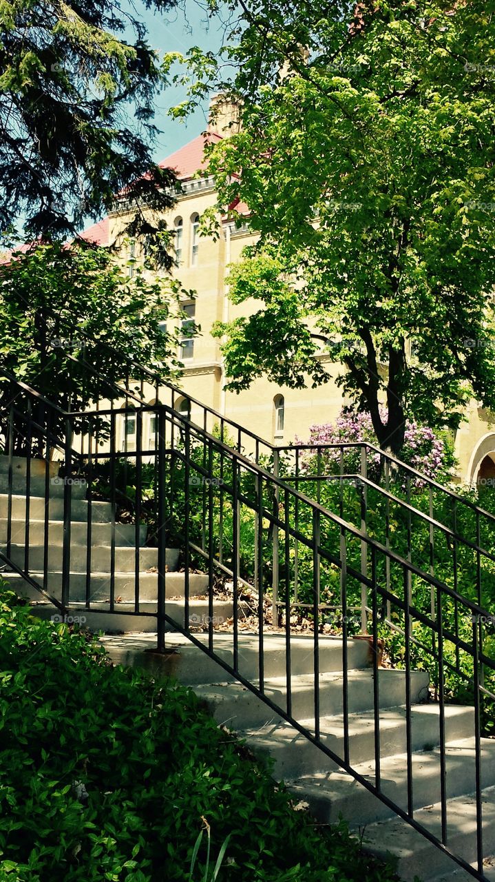 Stairs. Steps & Foliage