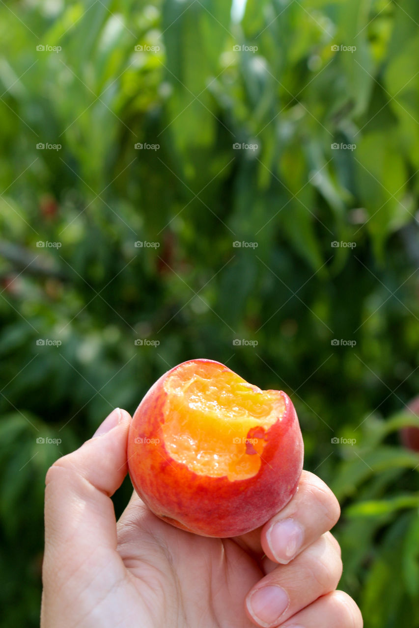 holding food