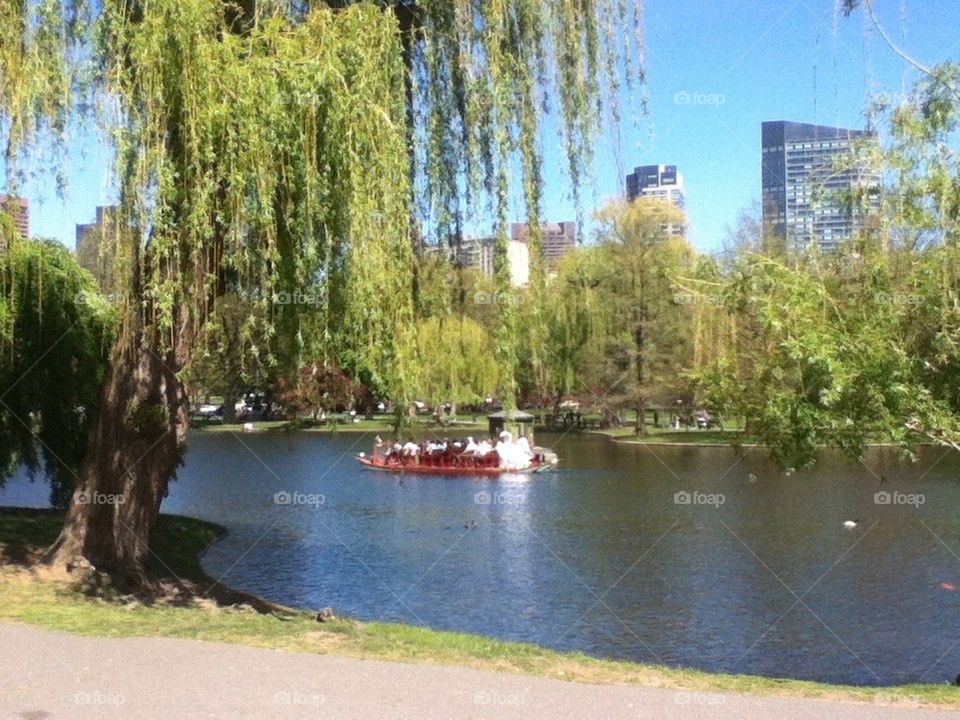 Boston Common 