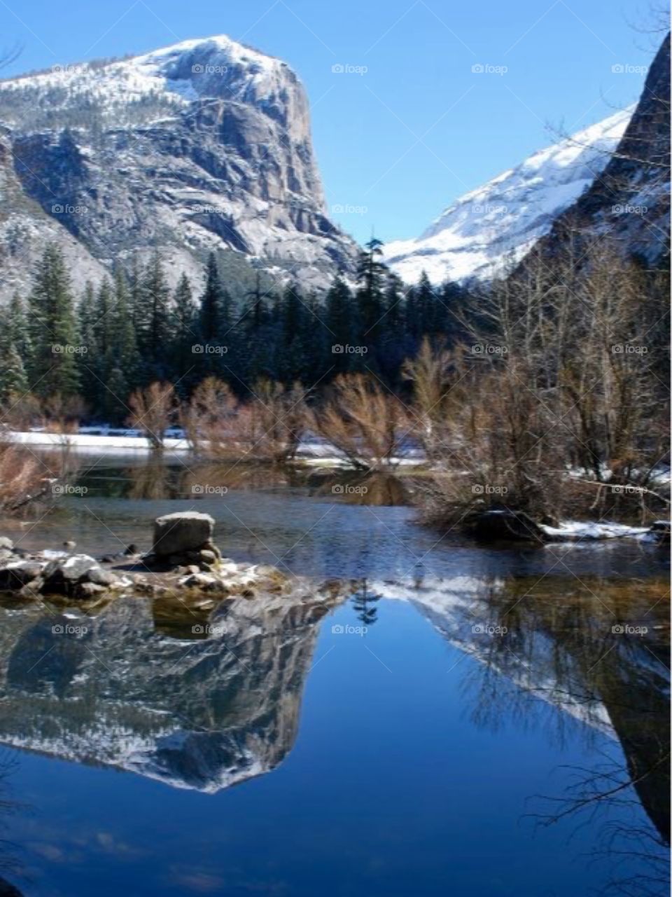 Reflection in the lake