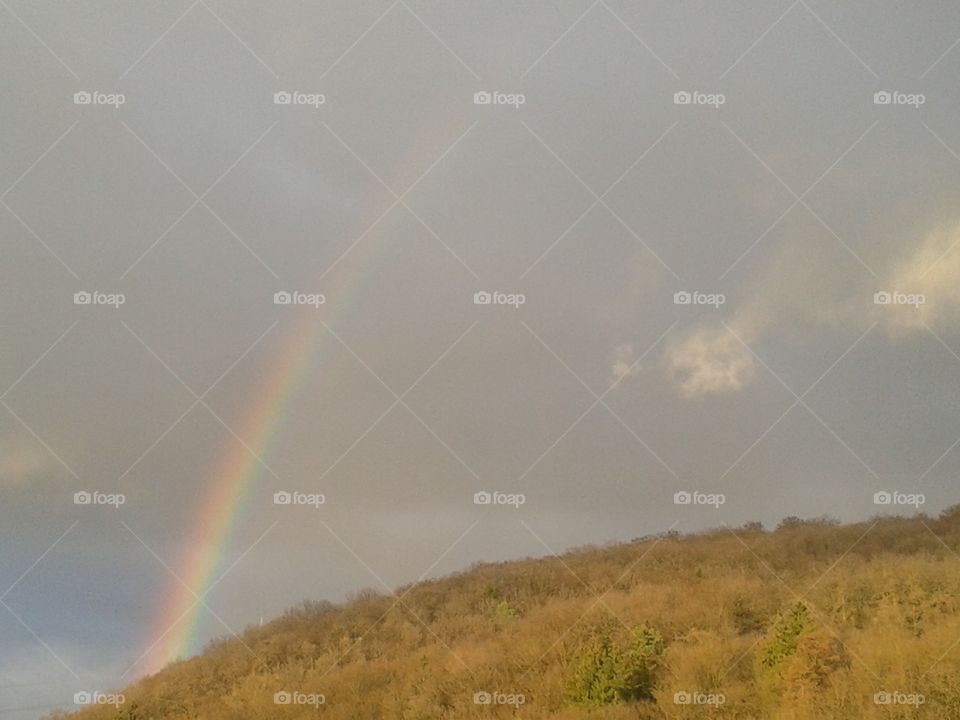 Regenbogen