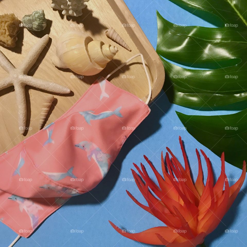 Sea dolphins on a viral mask with a collection of shells from the ocean. The blue background makes a stunning contrast!