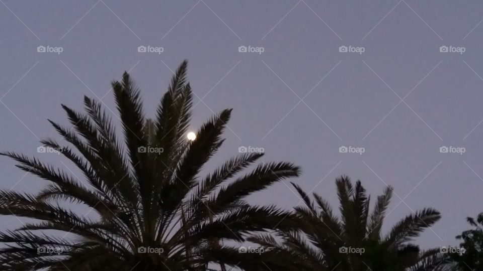 Vacay? Ready, Steady, go!