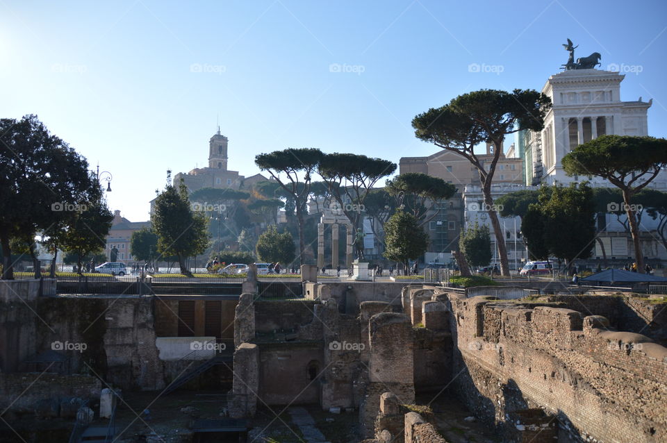 Basilica Ulpia and Vittoriano with trees, Rome