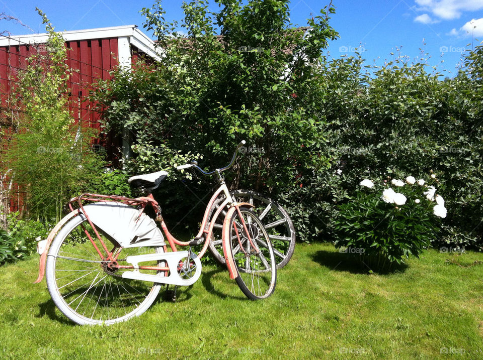 sweden garden bike sverige by rauschen