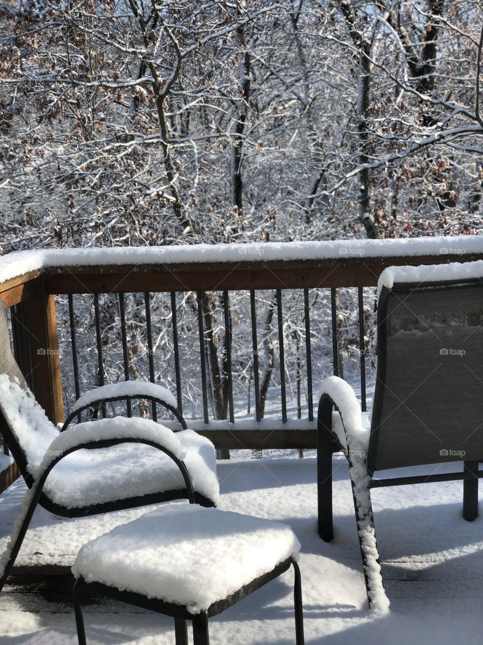 Snow from the deck