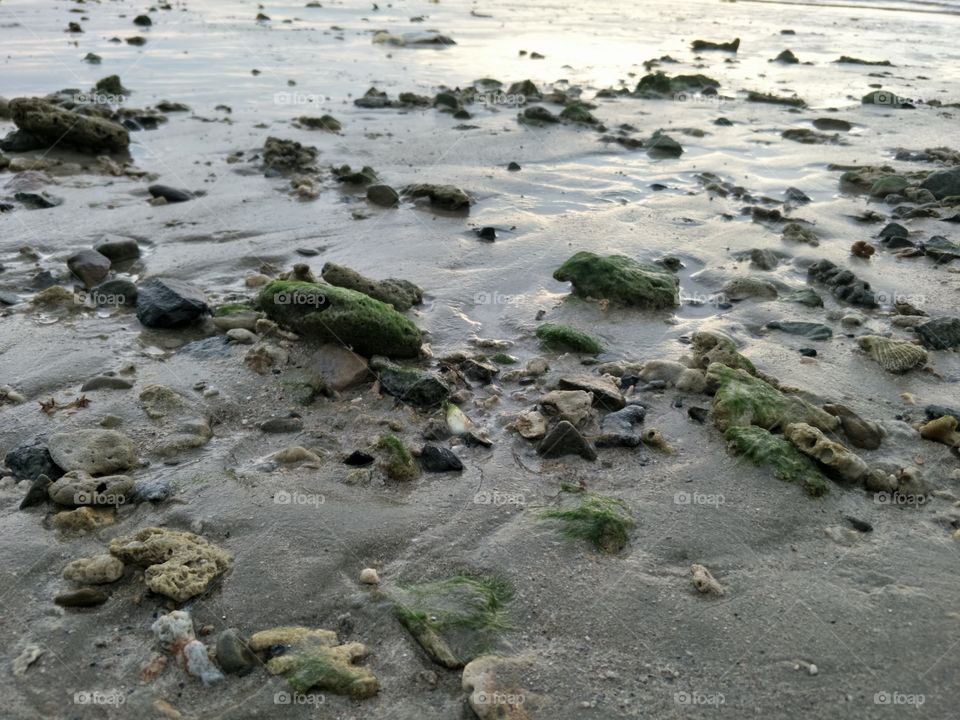 reflection of sunset