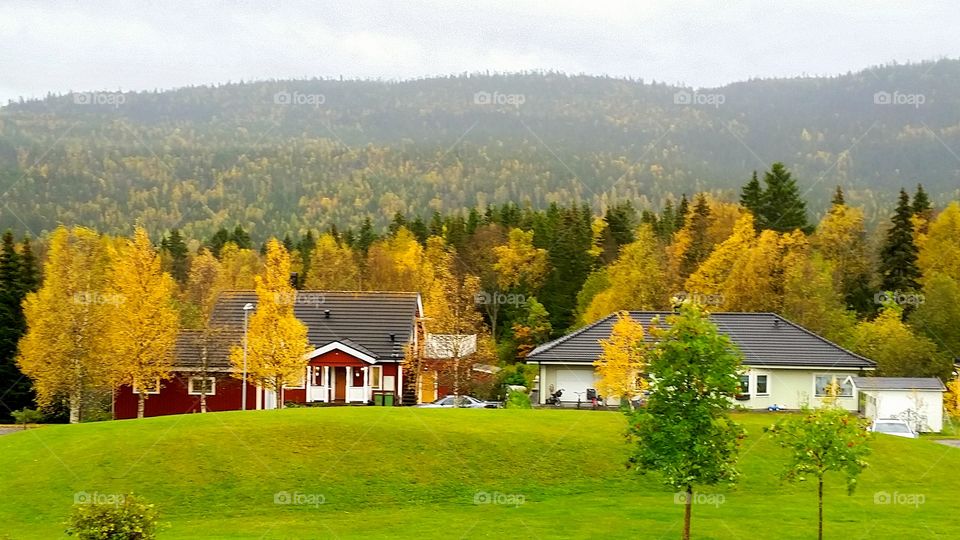 View of autumn nature